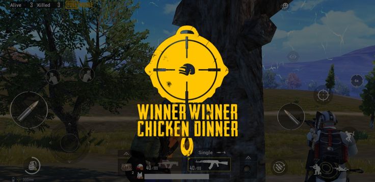 Winner Winner Chiken Dinner 